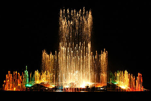 portfolio-Image